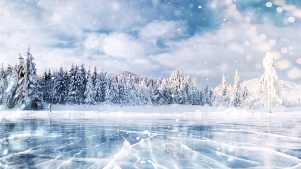 Фото: Shutterstock/FOTODOM