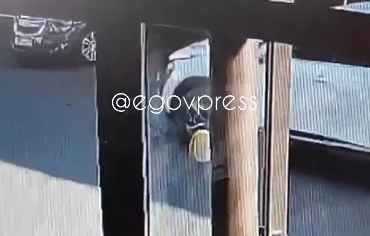 Фото: кадр из видео