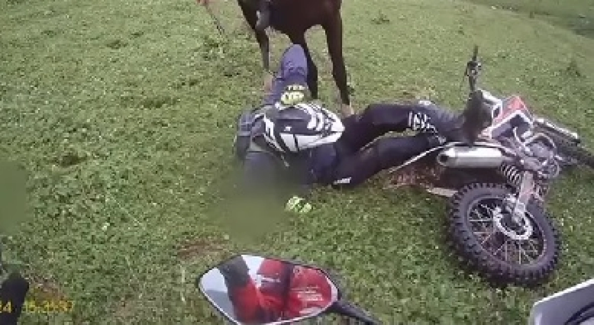 Фото: кадр из видео