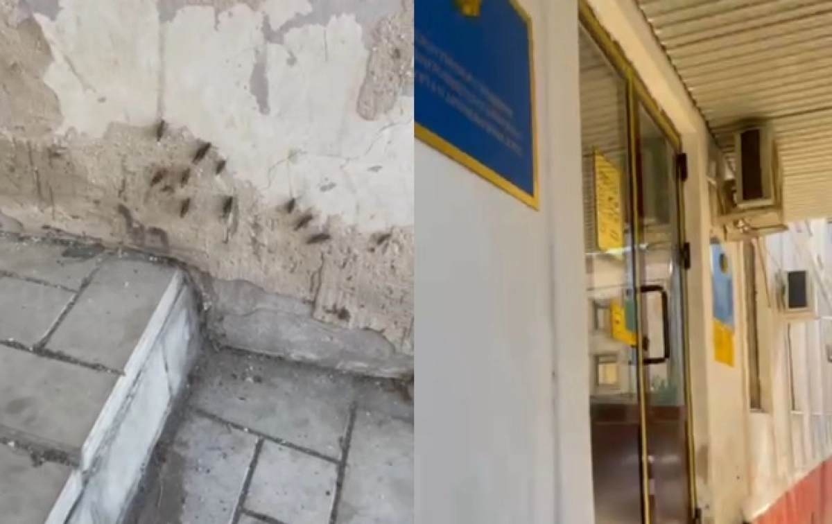 Фото: кадр из видео