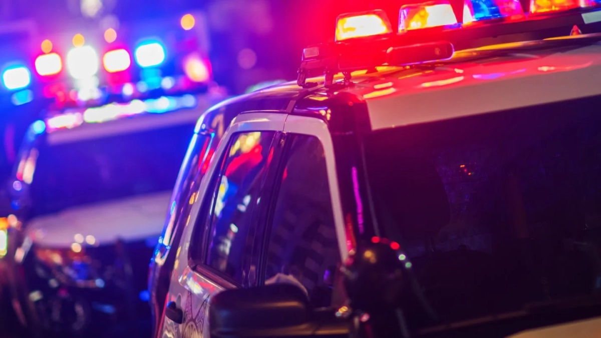 Фото: elements.envato.com