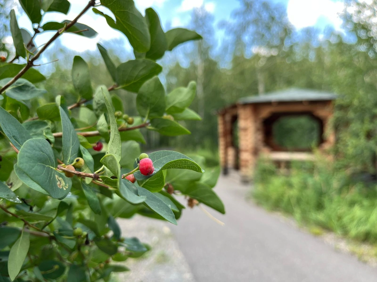 Фото ИА «NewTimes.kz»