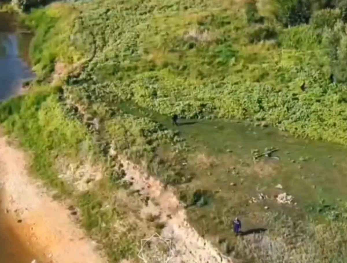 Кадр из видео