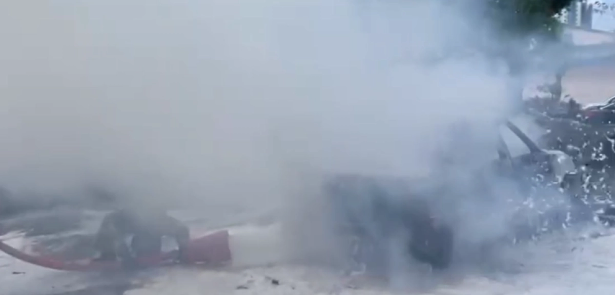 Фото: кадр из видео