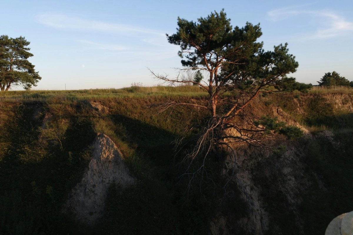 Фото: pexels.com