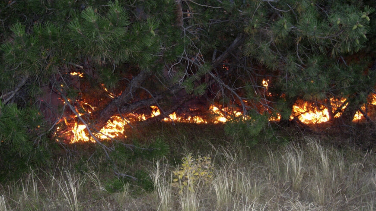 Фото: МТРК «Мир» / Елизавета Шагалова