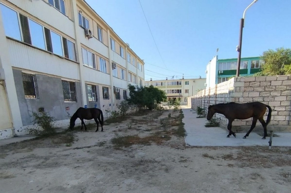 Фото Аяна Карджаува