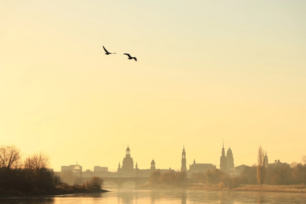 Фото: pixabay.com