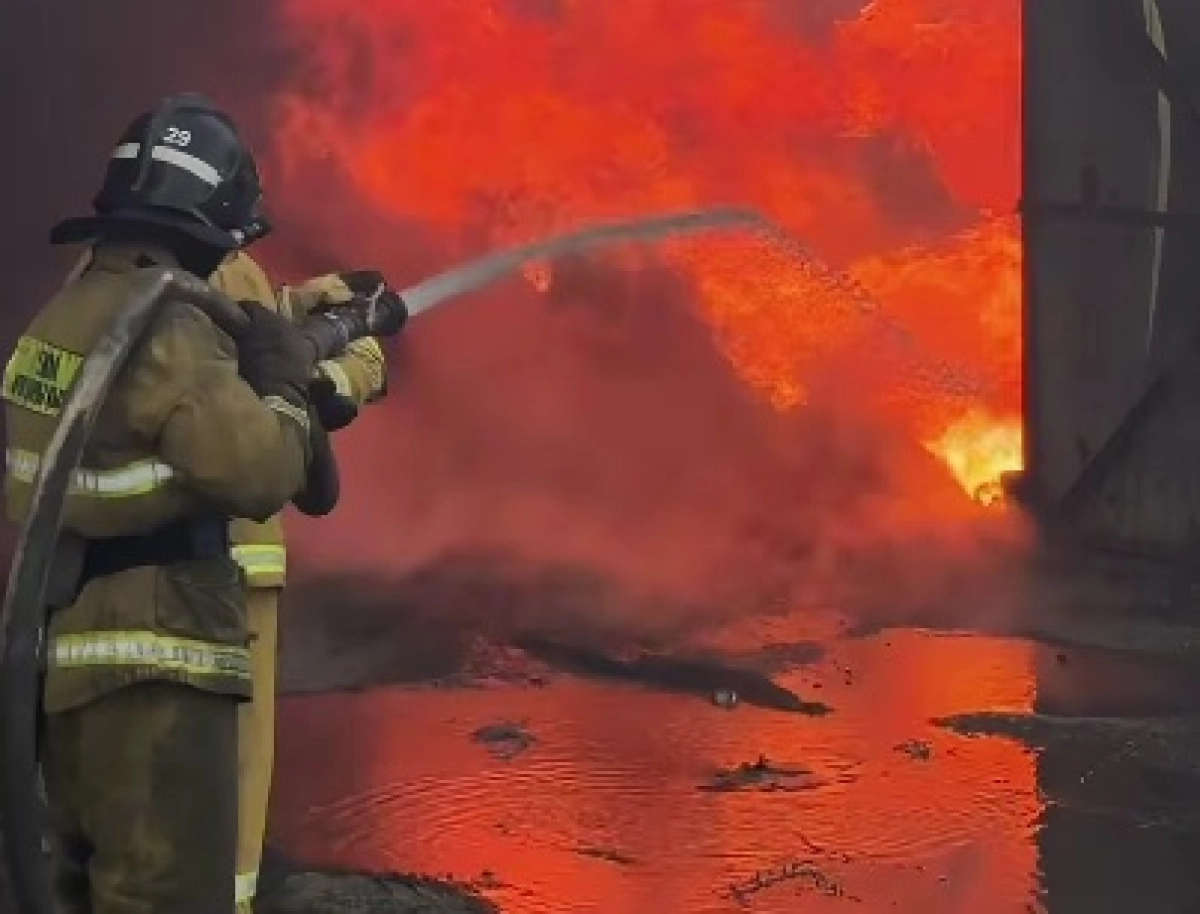 Фото: кадр из видео