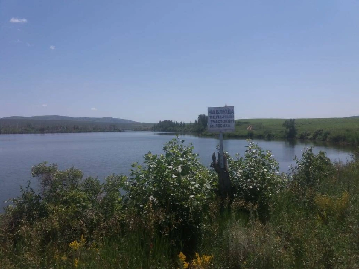 Фото: yk-news.kz