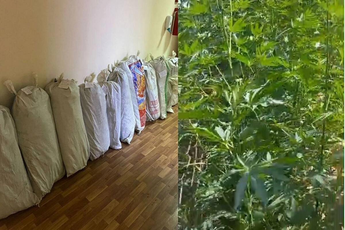 Фото:  Polisia.kz