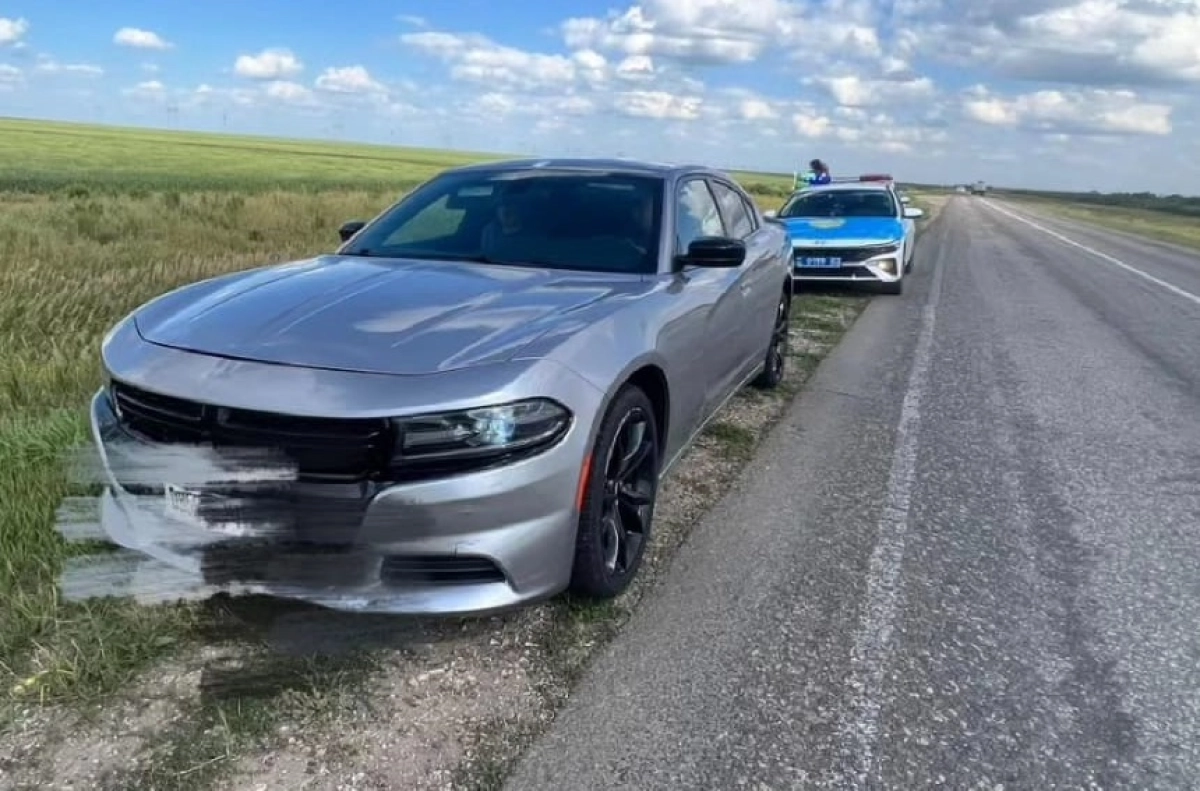 Фото: ДП Акмолинской области