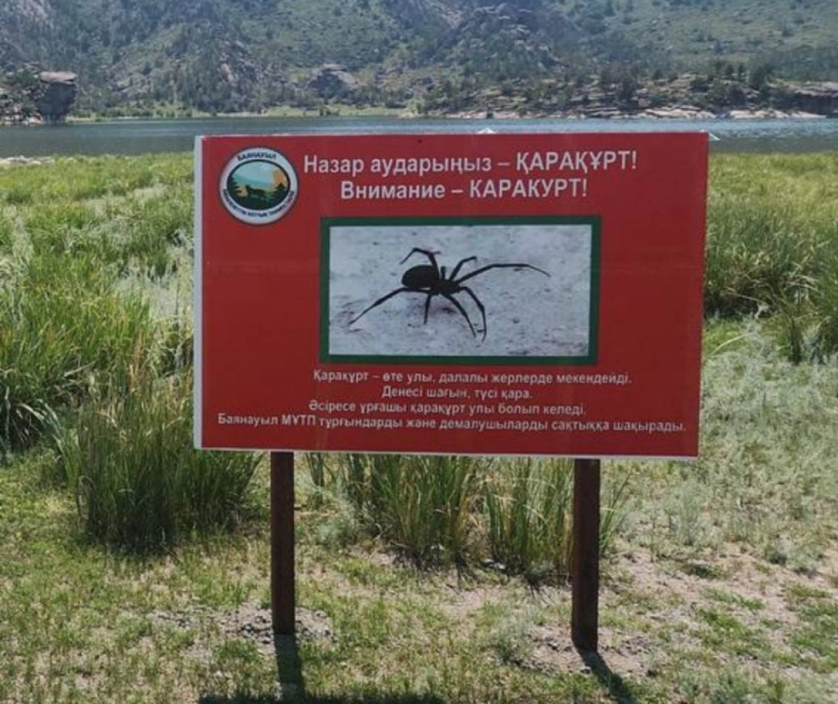 Фото: Павлодар-онлайн.