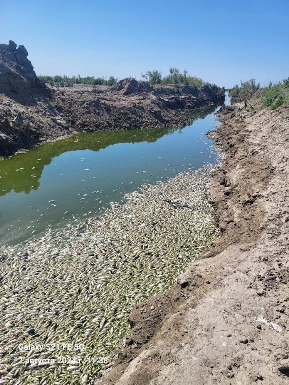 Фото: АкЖайык