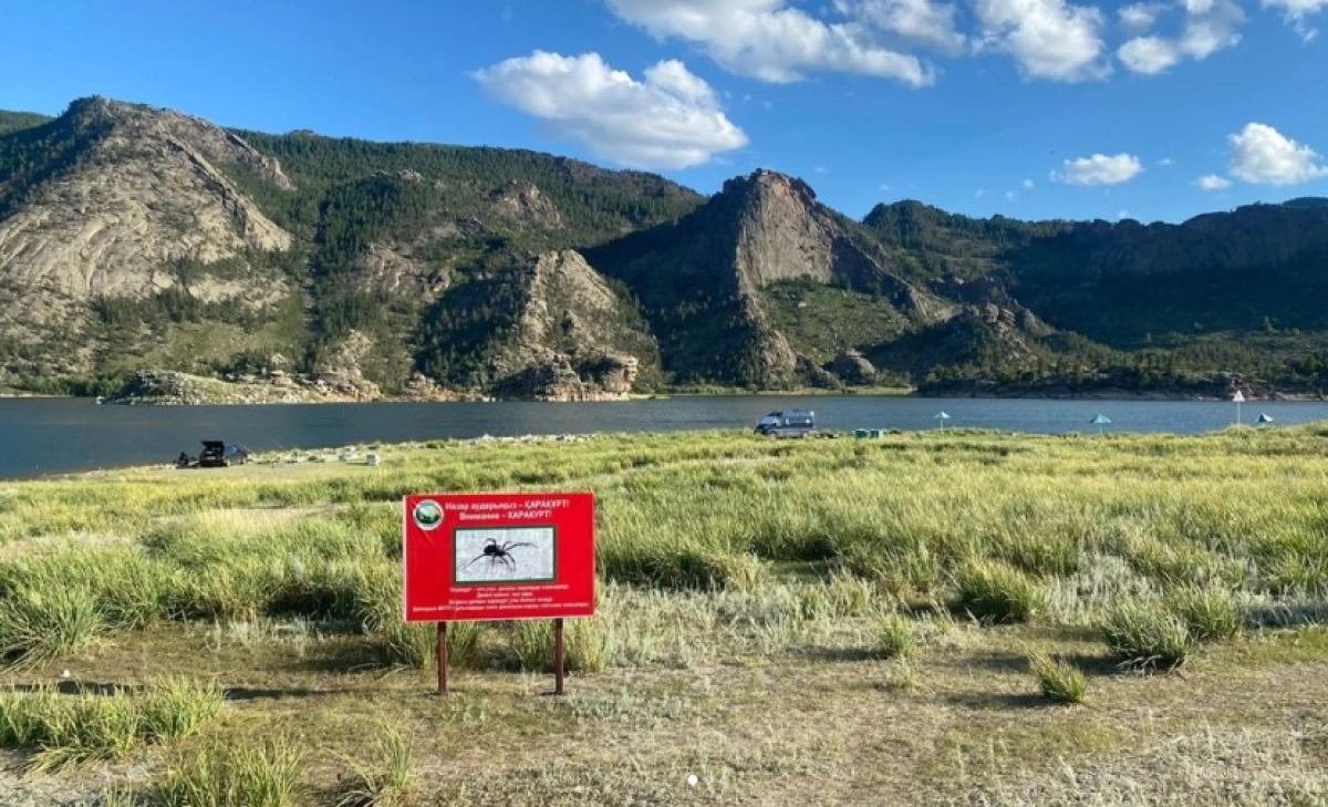 Фото: ДЧС Павлодарской области