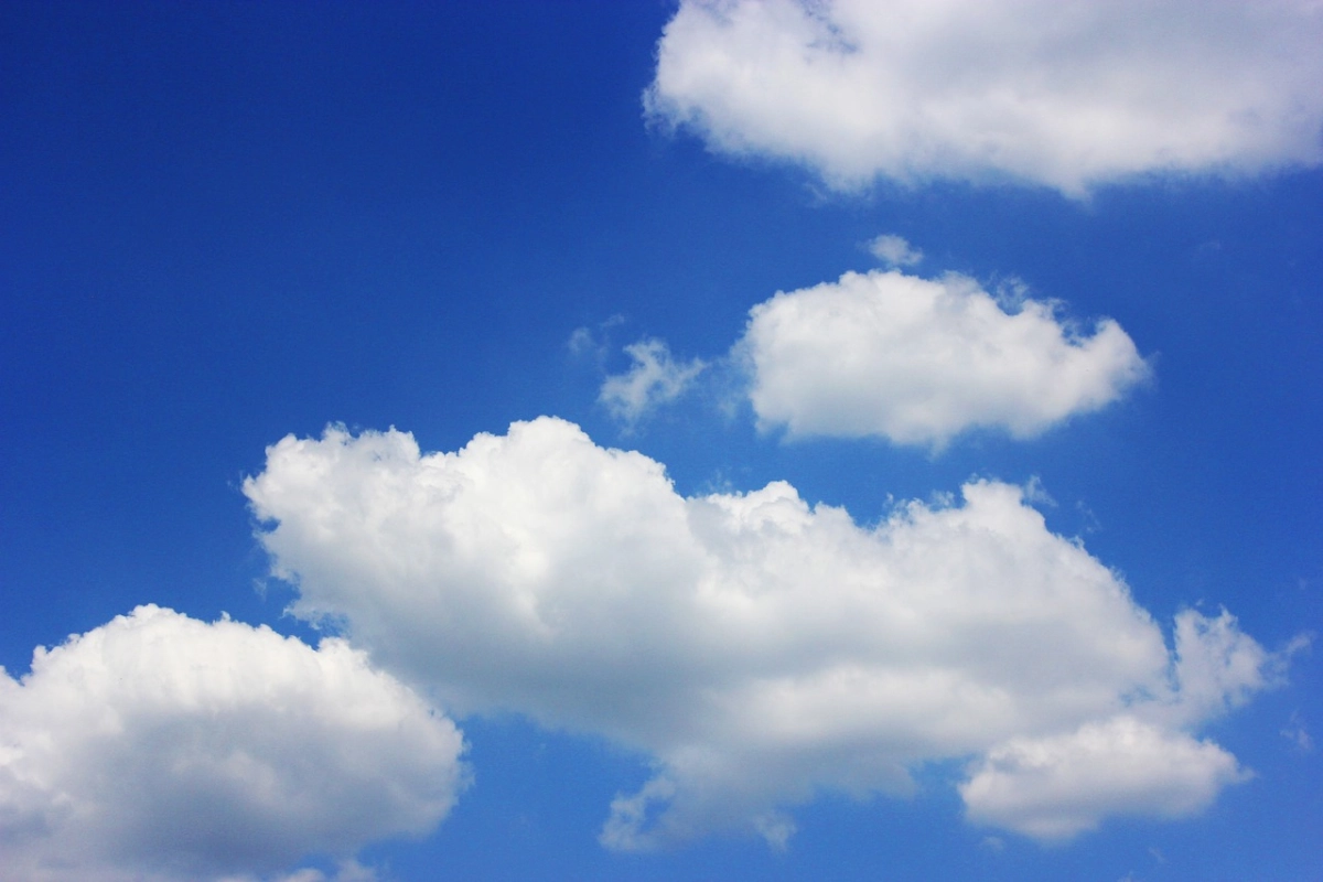 Фото: pixabay.com