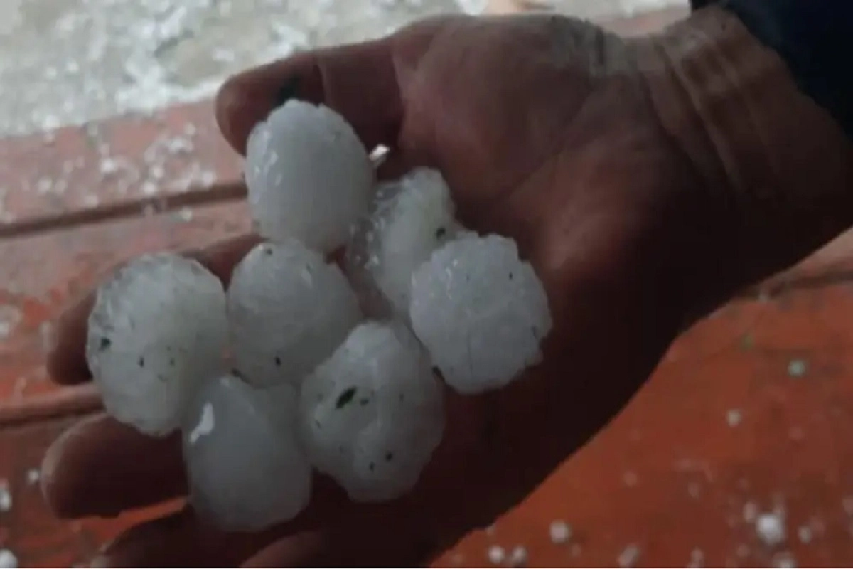 Иллюстративное фото