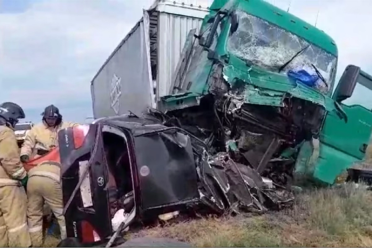 Фото: скриншот из видео