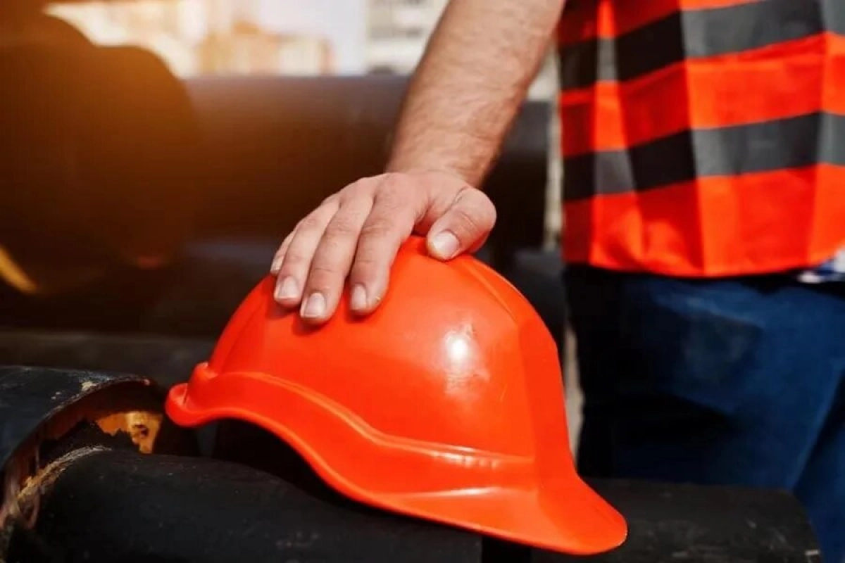 Фото: https://bin35.ru/