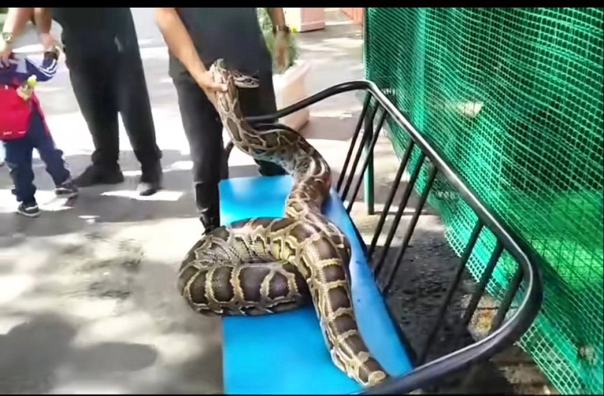 Кадр из видео/ ДП области Абай