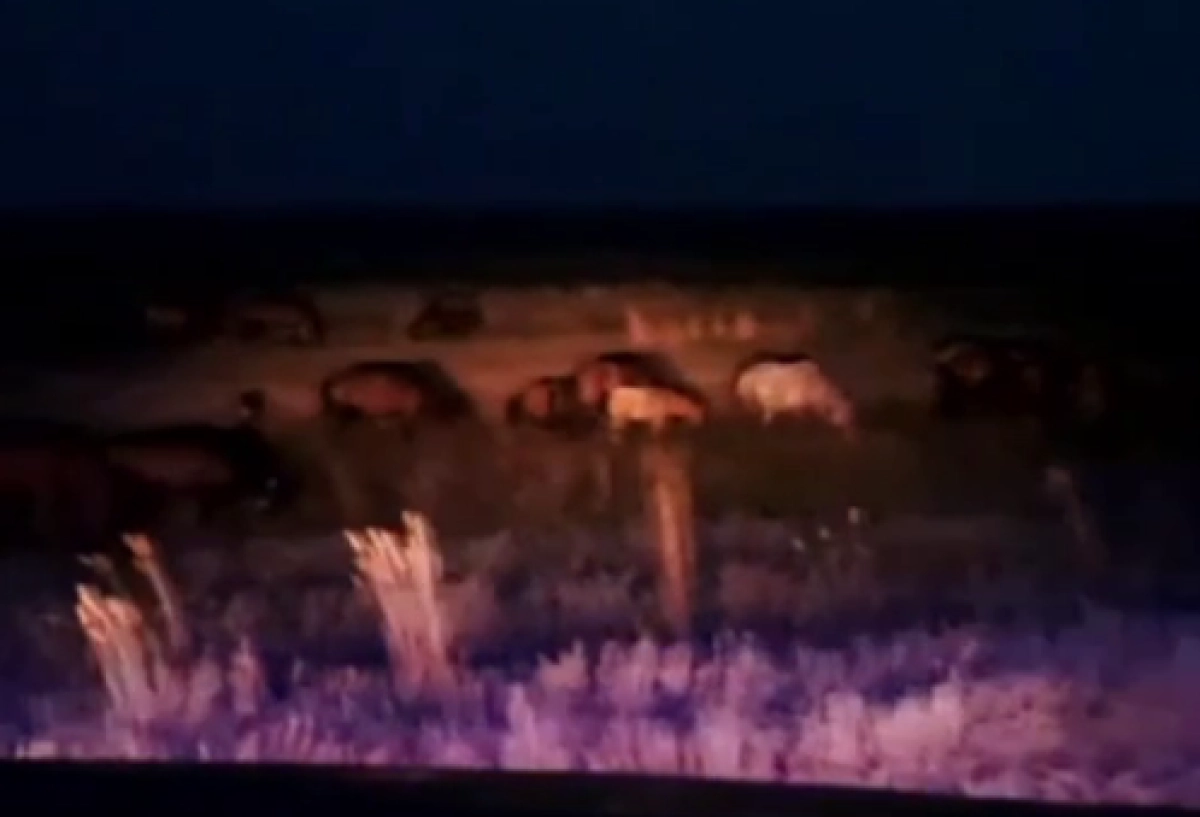 Кадр из видео