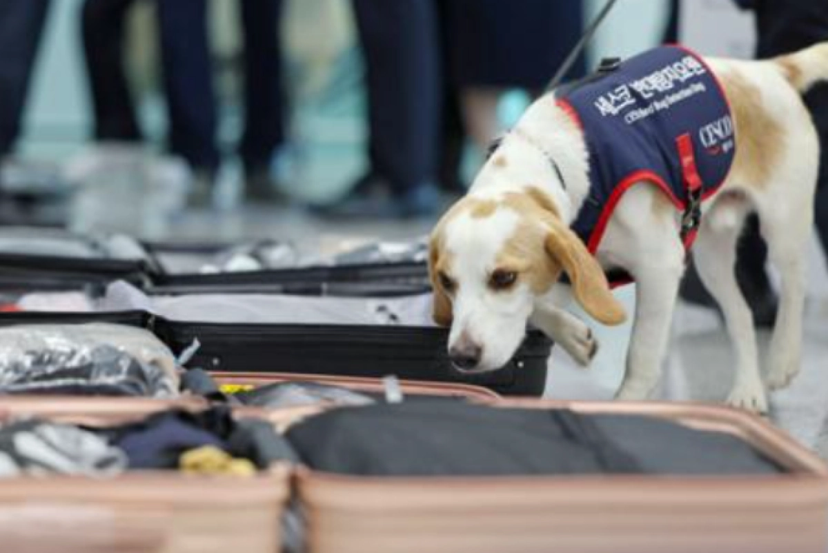 Фото: Yonhap via REUTERS