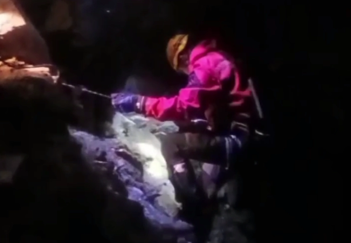 Кадр из видео