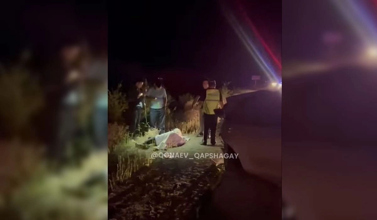 Фото: кадр из видео