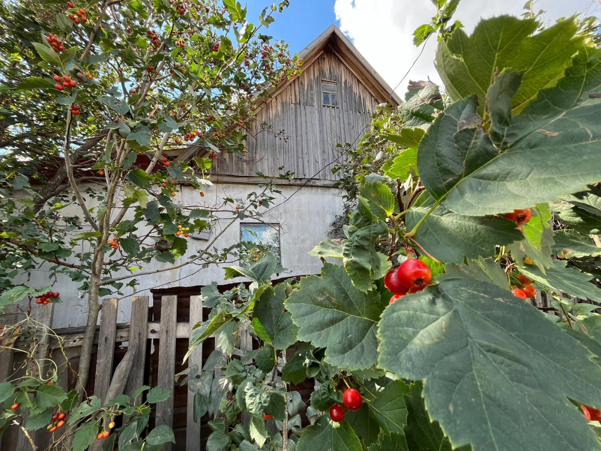 Фото: ИА «NewTimes.kz»