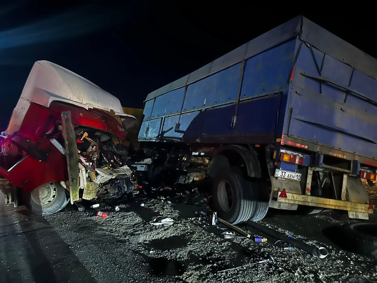 Фото: ДП Костанайской области