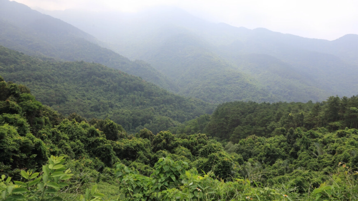 Фото: Shutterstock/FOTODOM