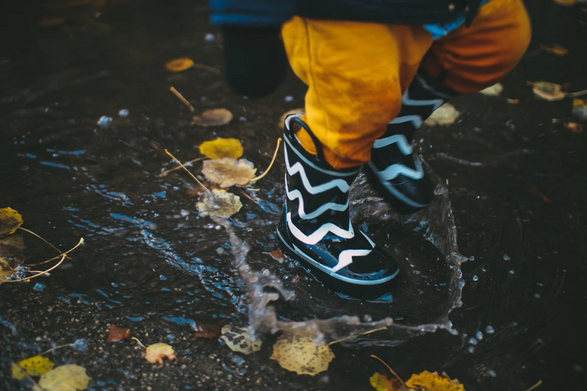 Фото: unsplash