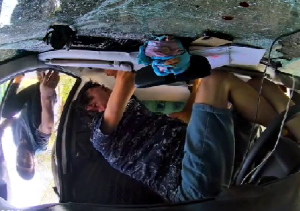 Фото: кадр из видео