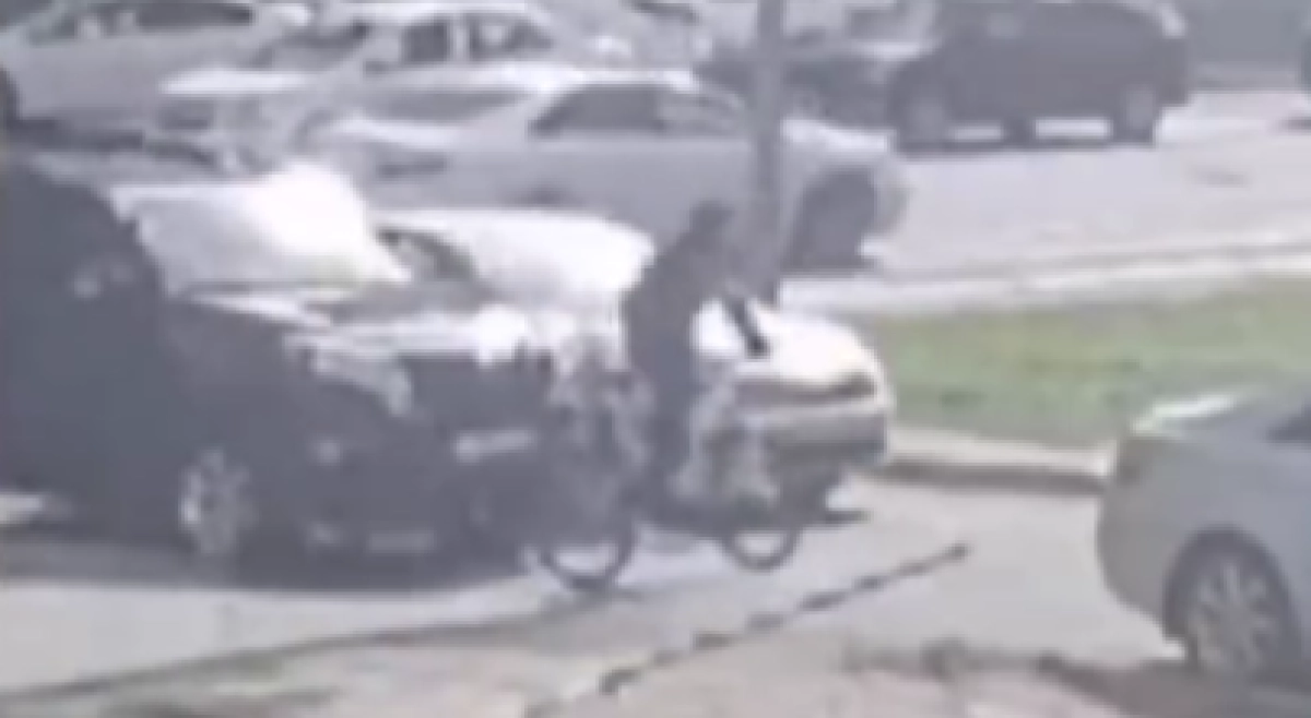 Фото: кадр из видео