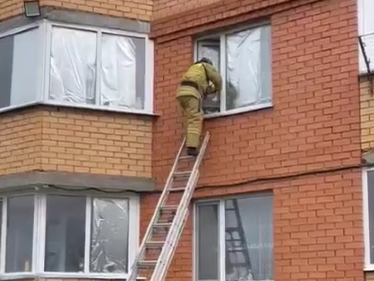 Кадр из видео