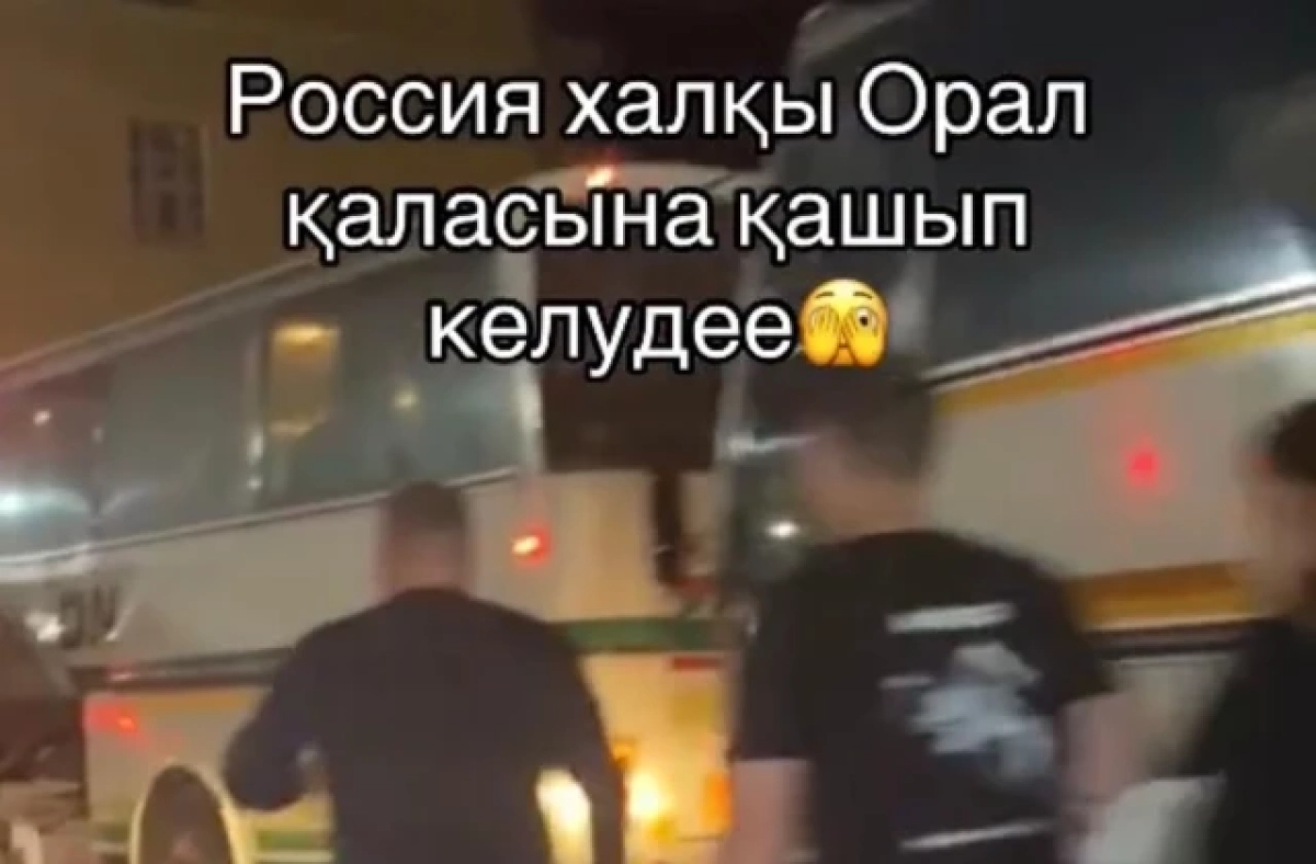 Фото: кадр из видео