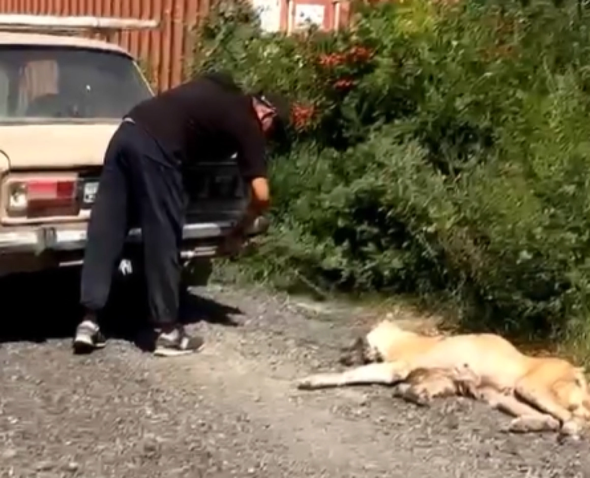 Кадр из видео