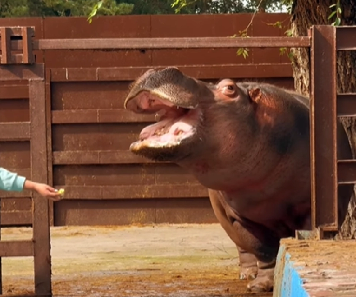 Кадр из видео