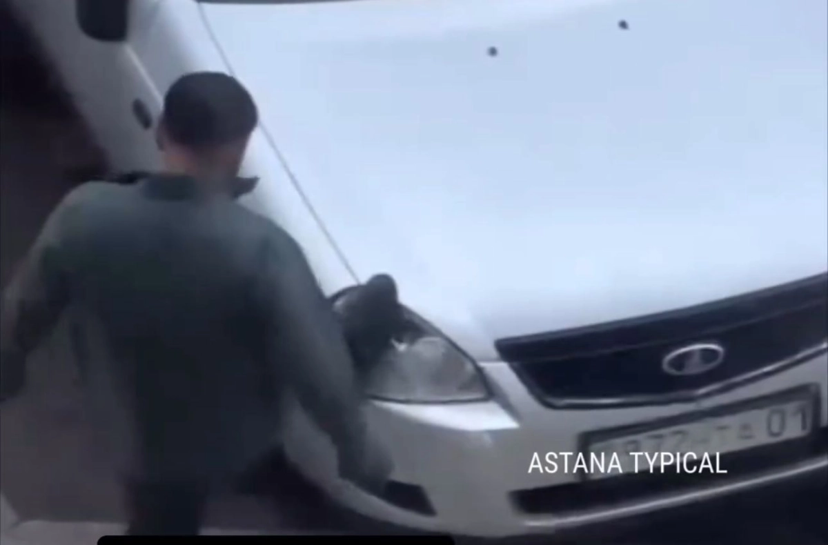 Фото: скриншот видео