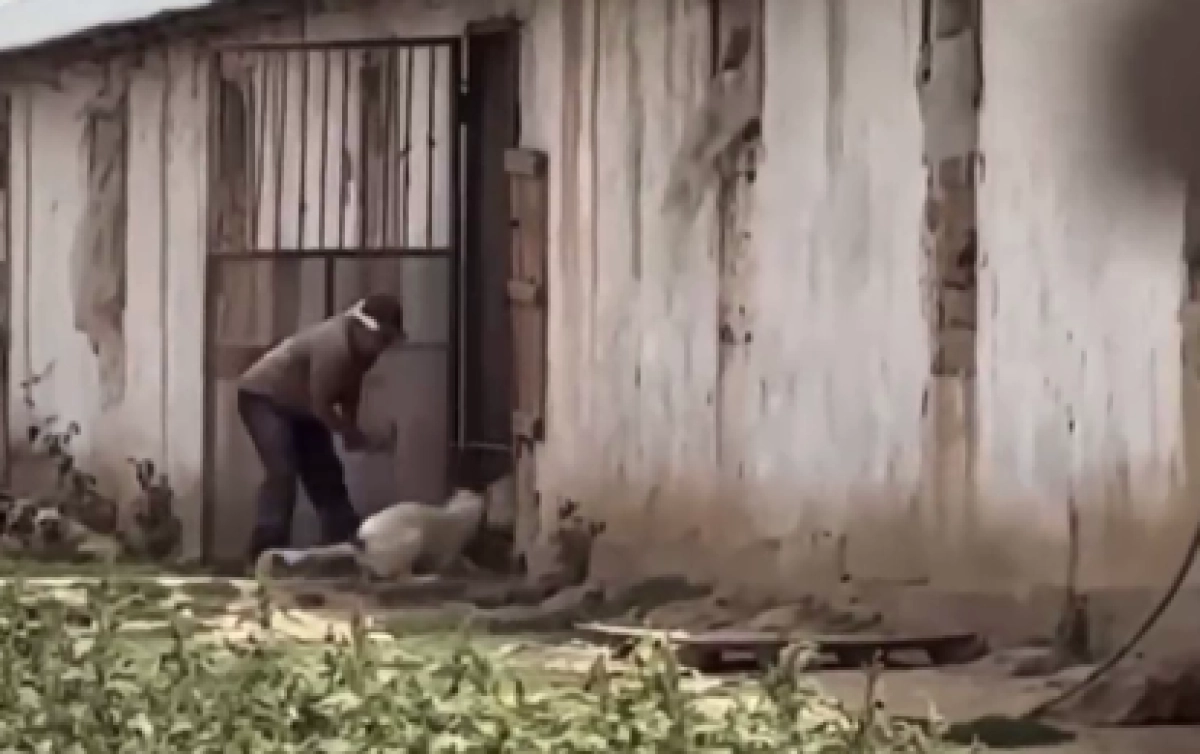 Кадр из видео