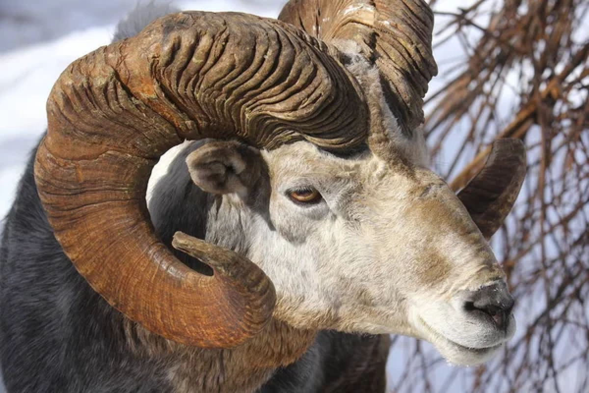 Фото: depositphotos