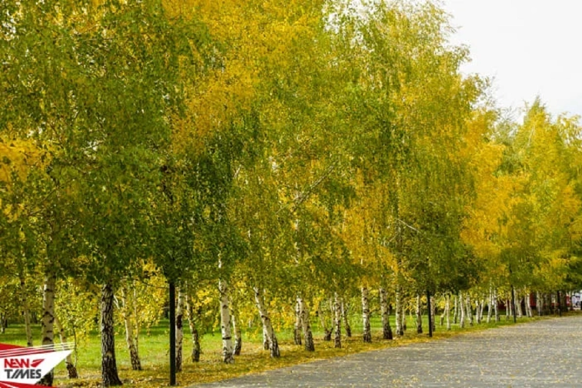 Фото: ИА «NewTimes.kz»