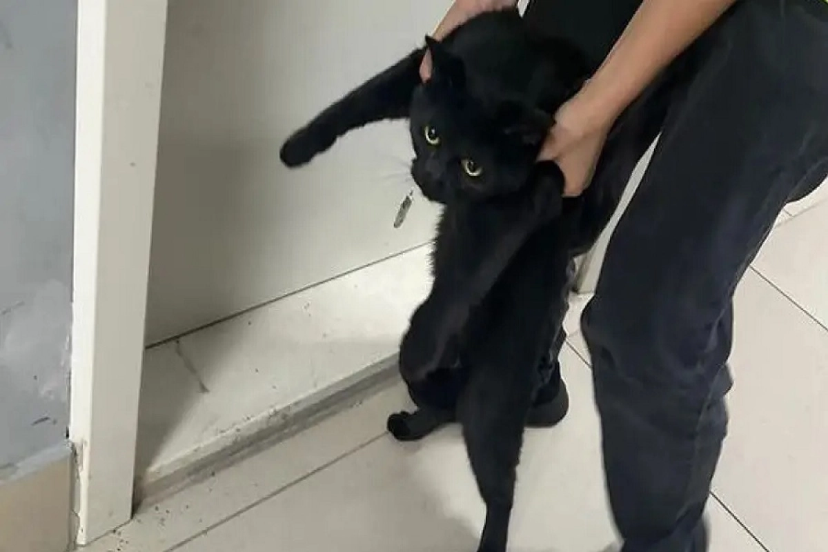 Фото: социальные сети