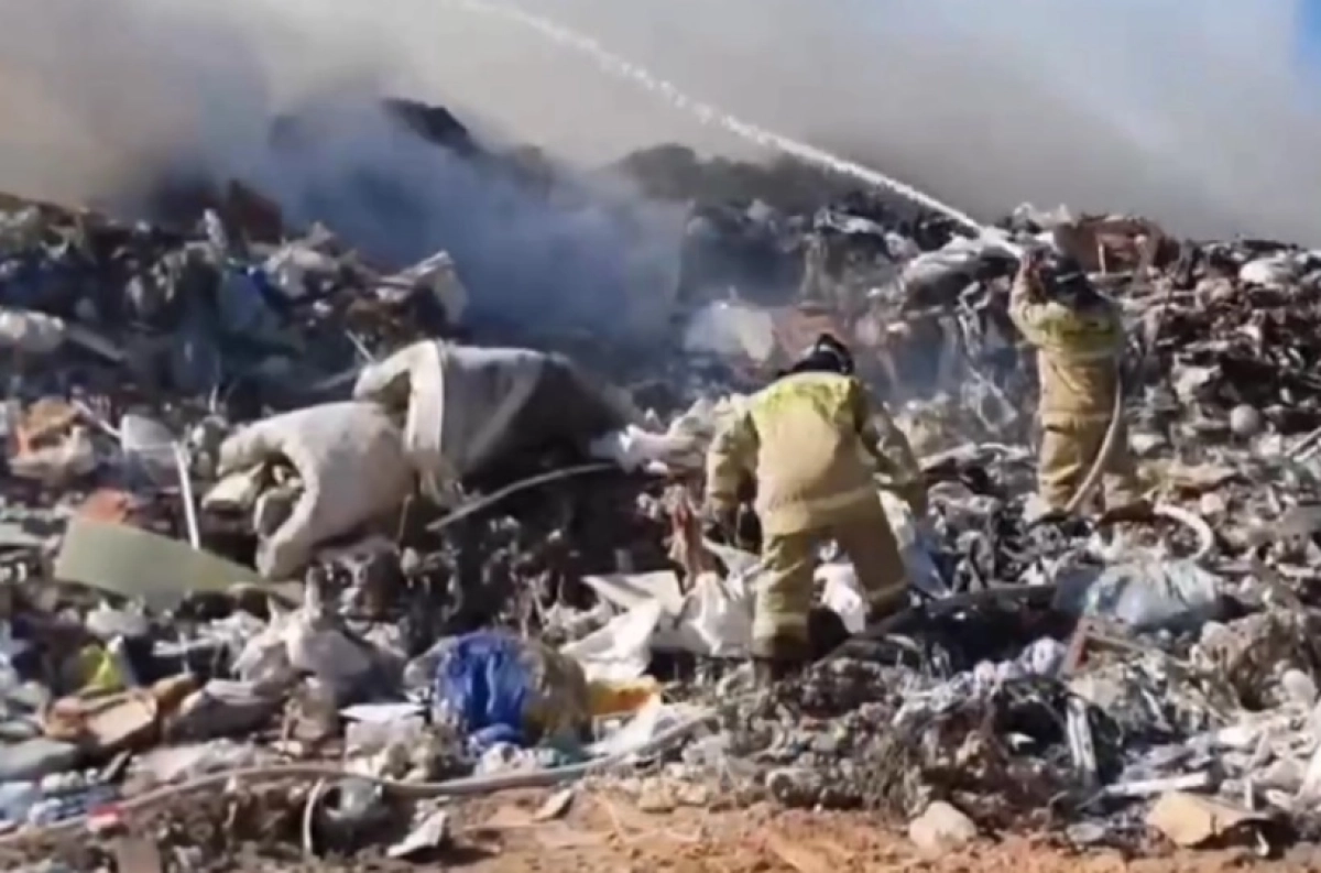 Фото: кадр из видео