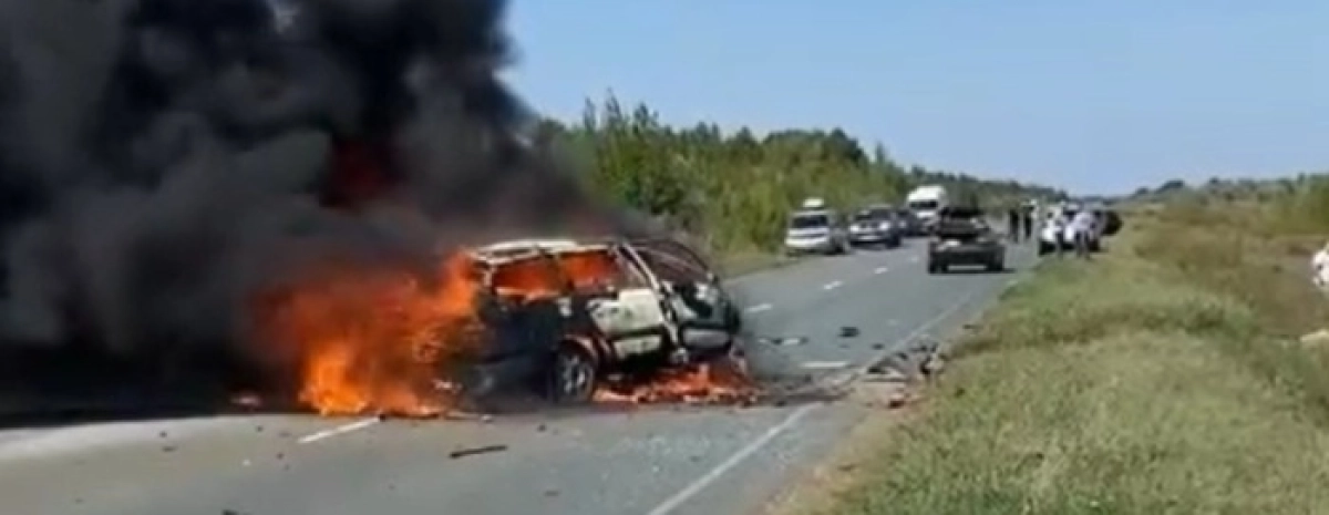 Фото: скриншот видео