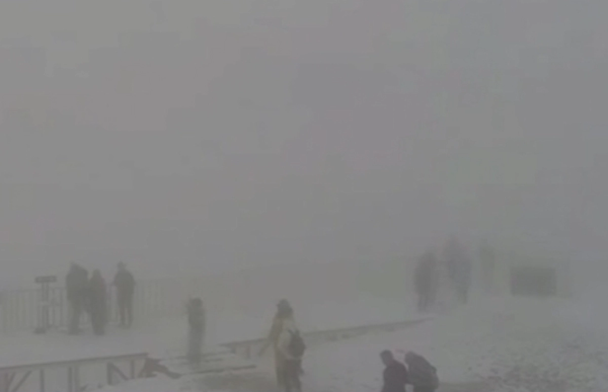 Кадр из видео/ КТК