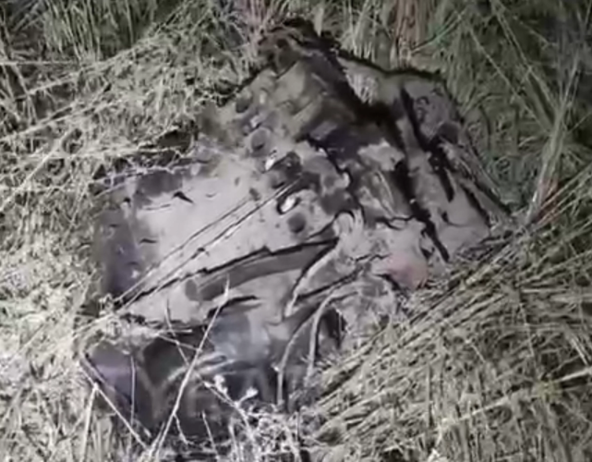 Кадр из видео