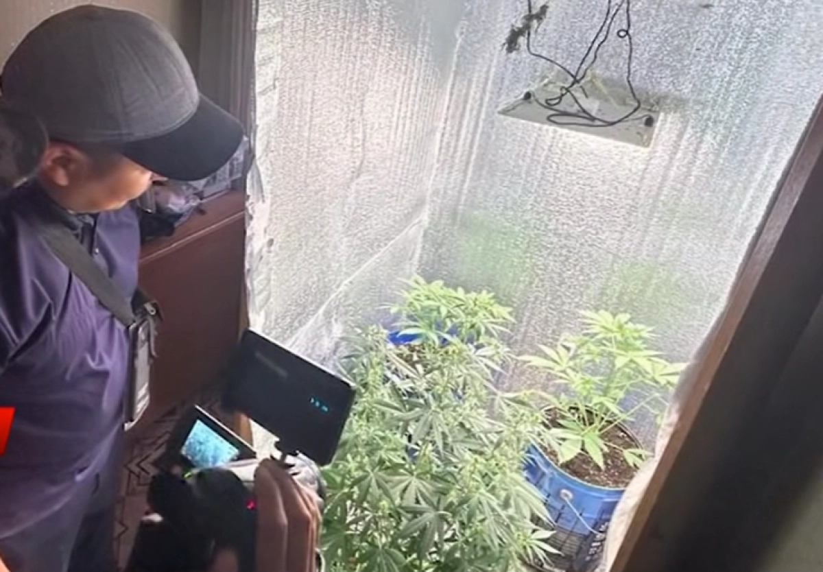 Кадр из видео