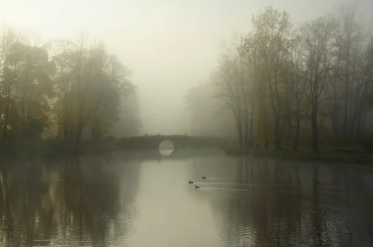 Фото: depositphotos