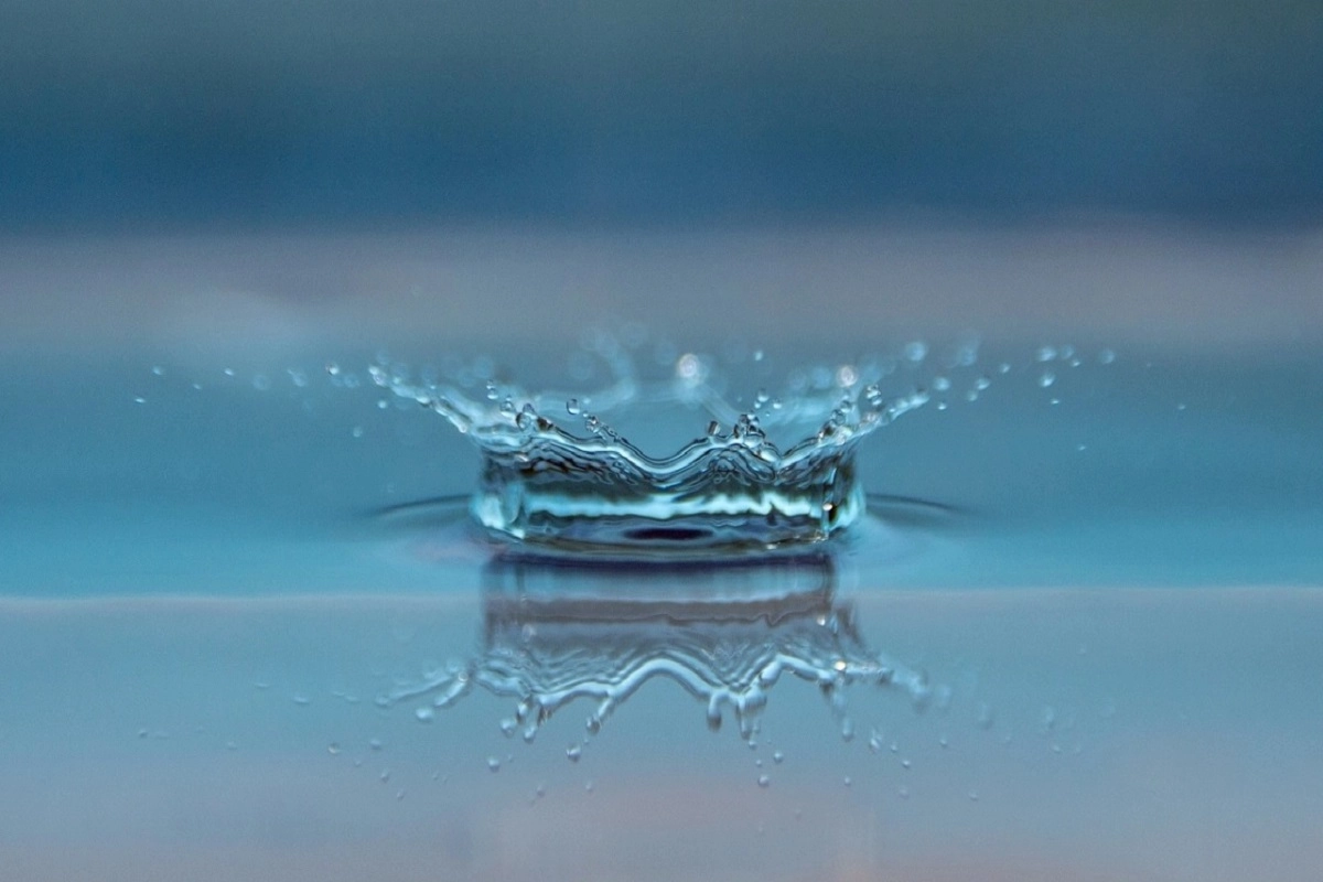 Фото: pixabay
